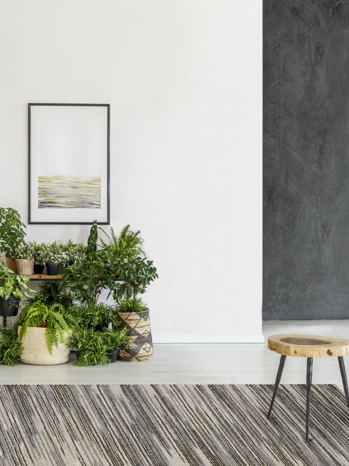 Natural Haven Collection, Palm Dessert