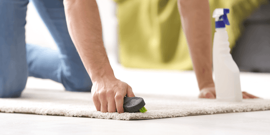 7 Benefits of Area Rugs Every Homeowner Must Know in 2022